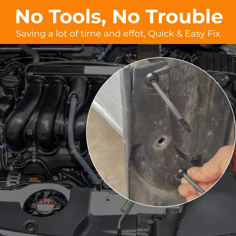 Thermos-Topf-Set für Lunchbox + GESCHENKE – Tazzi